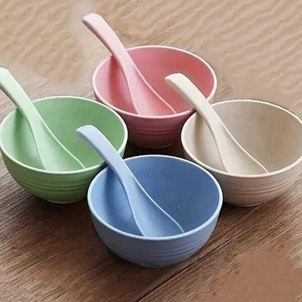 4 Pcs bowls & Spoon Set Soup Bowl with Spoon