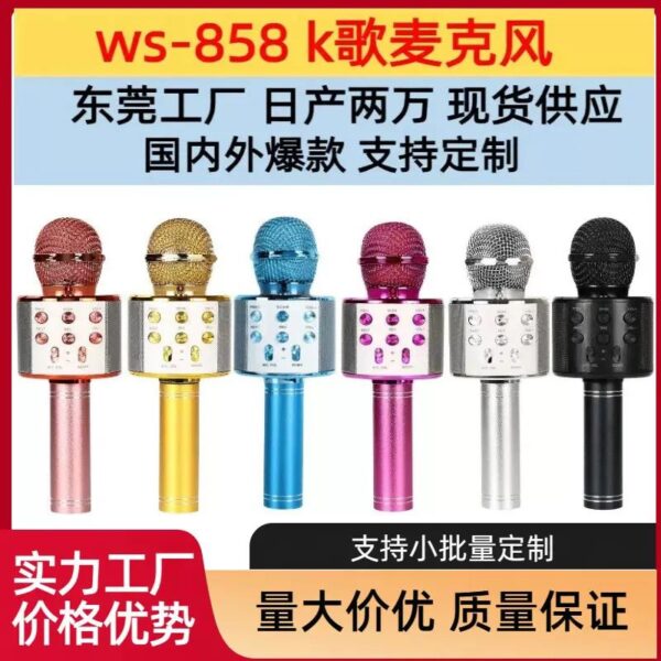 WS-858 Portable Wireless Bluetooth Microphone & HiFi Speaker